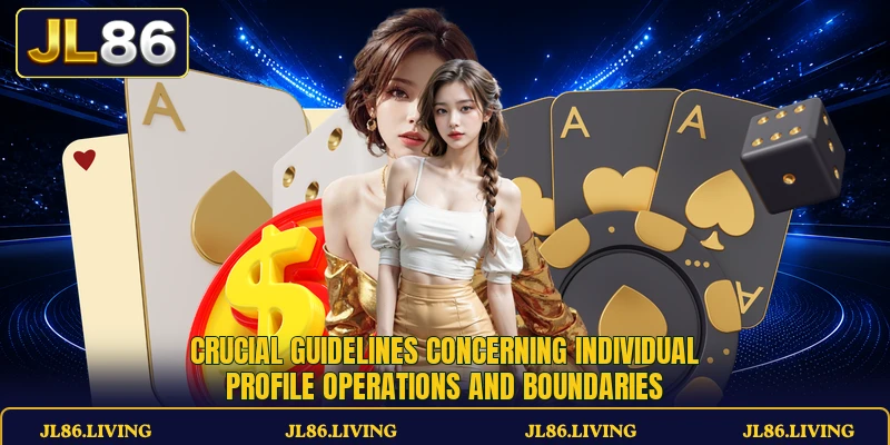 Crucial guidelines concerning individual profile operations and boundaries Crucial guidelines concerning individual profile operations and boundaries